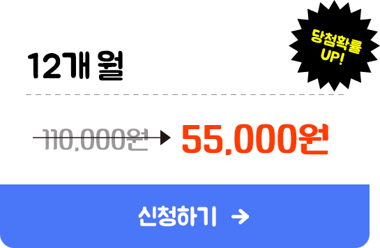 12개월 55,000원