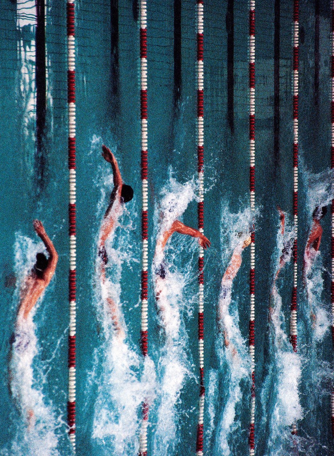 수영경기