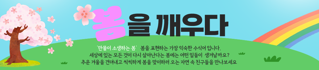 봄을 깨우다