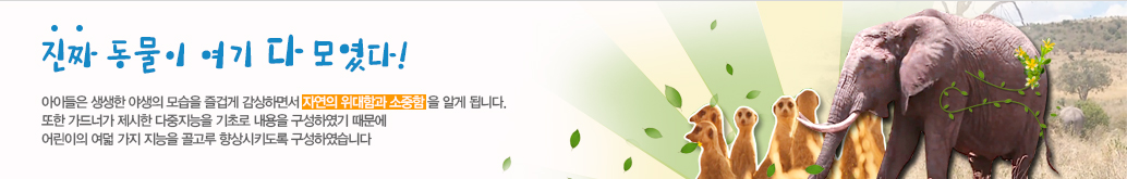 진짜 동물이 여기 다 모였다! 아이들은 생생한 야생의 모습을 즐겁게 감상하면서 자연의 위대함과 소중함 을 알게 됩니다. 또한 가드너가 제시한 다중지능을 기초로 내용을 구성하였기 때문에 어린이의 여덟 가지 지능을 골고루 향상시키도록 구성하였습니다