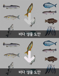 도안 확인하기