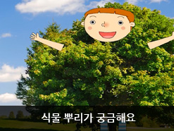 식물 뿌리가 궁금해요