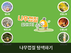 나무껍질 탐색하기