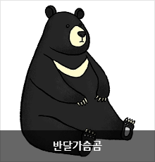 반달가슴곰