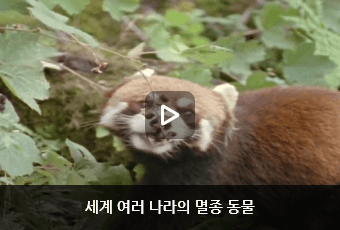 세계 여러 나라의 멸종 동물