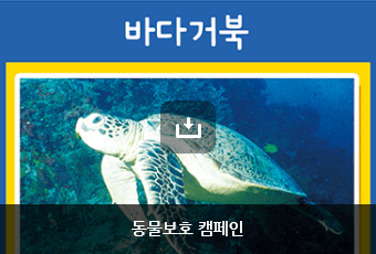 동물보호 캠페인 