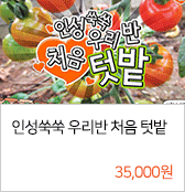 인성쑥쑥 우리반 처음 텃밭 35,000원