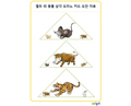 열두 띠 동물 삼각 도미노 카드 도안 자료.pptx