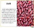 강낭콩이 자라는 과정.pptx