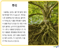 뿌리의 모양.pptx