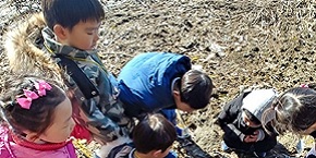 팥죽 먹고 솔방울 트리 만들고…겨울방학 한강 생태체험