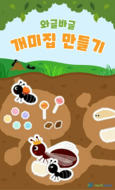 개미집 만들기