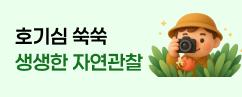 자연관찰