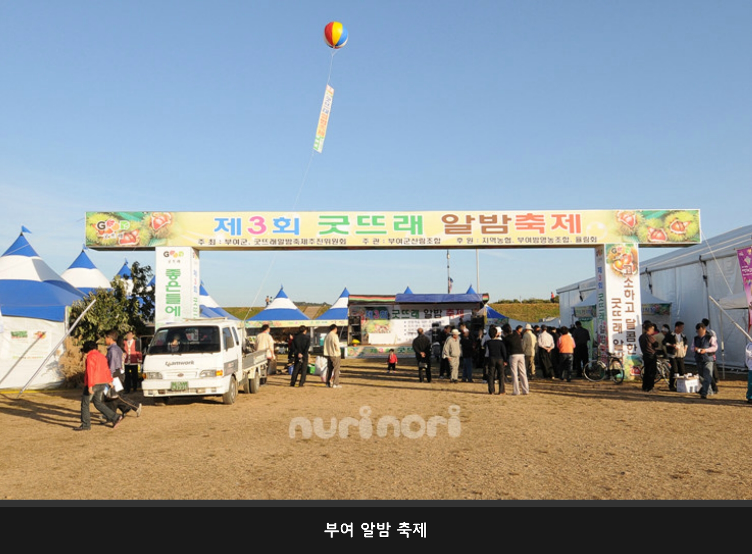 축제의 종류
