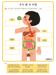 우리 몸 속 여행 활동지