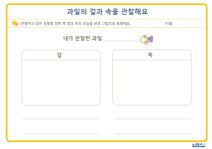 과일의 겉과 속을 관찰해요 
