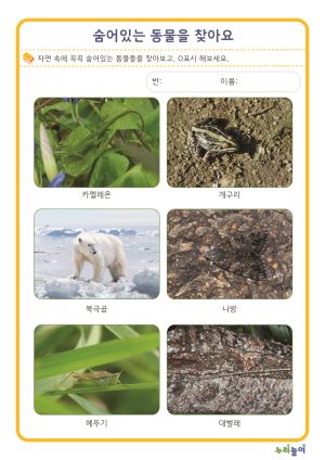 숨어있는 동물을 찾아요