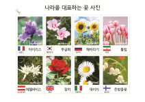 나라를 대표하는 꽃 사진