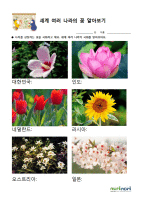 세계 여러 나라의 꽃 알아보기