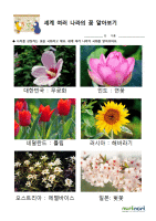 세계 여러 나라의 꽃 알아보기