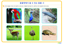 동물원에서 볼 수 있는 동물- 03