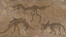 다양한 공룡과 화석