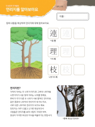 [인성교육] 연리지를 알아보아요