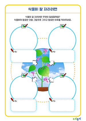 11_식물이 잘 자라려면-01.png