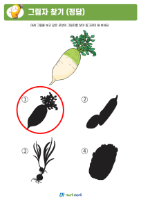 썸_그림자 찾기_하_정답 (2).PNG