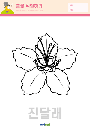 봄꽃 색칠하기_진달래 - 복사본.png