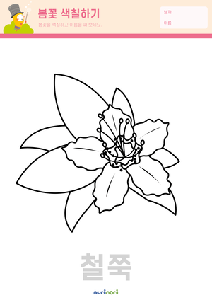 봄꽃 색칠하기_철쭉 - 복사본.png