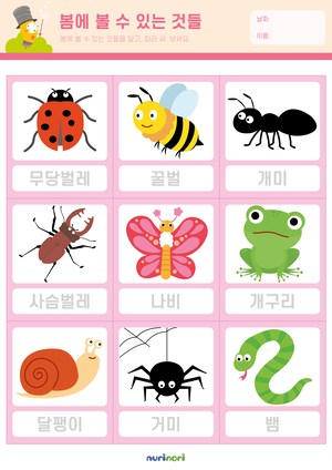 봄에 볼 수 있는 것들 - 복사본.png