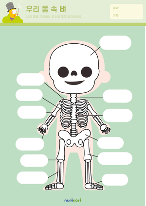우리 몸 속 뼈가 궁금해요.png