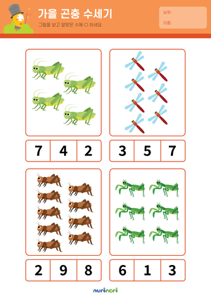 가을 곤충 수세기.png