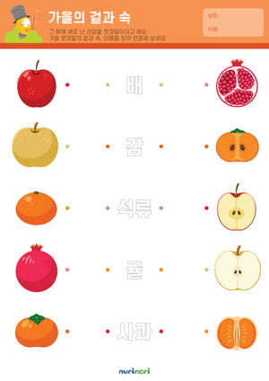 가을의 겉과 속.png