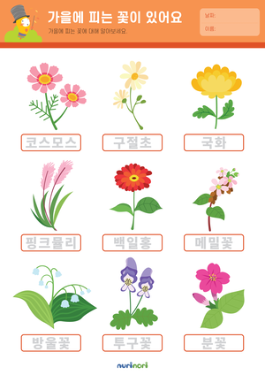 가을에 피는 꽃이 있어요.png