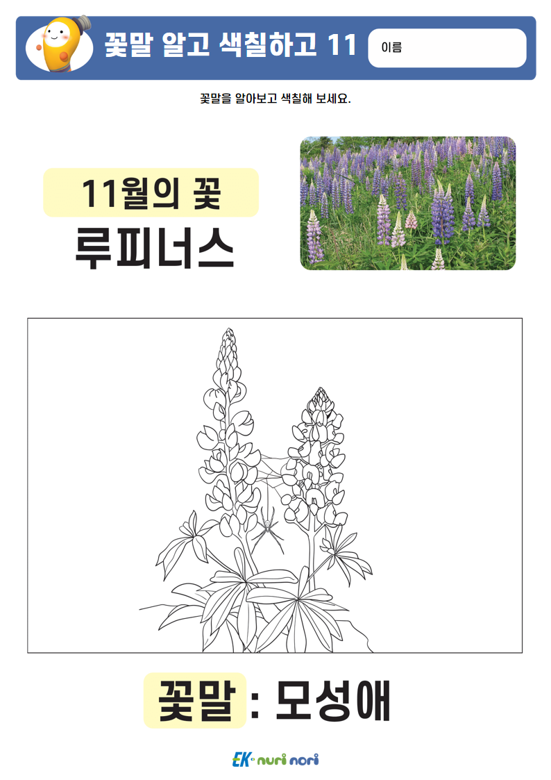 [누리놀이] 꽃말 알고 색칠하고 (21).PNG