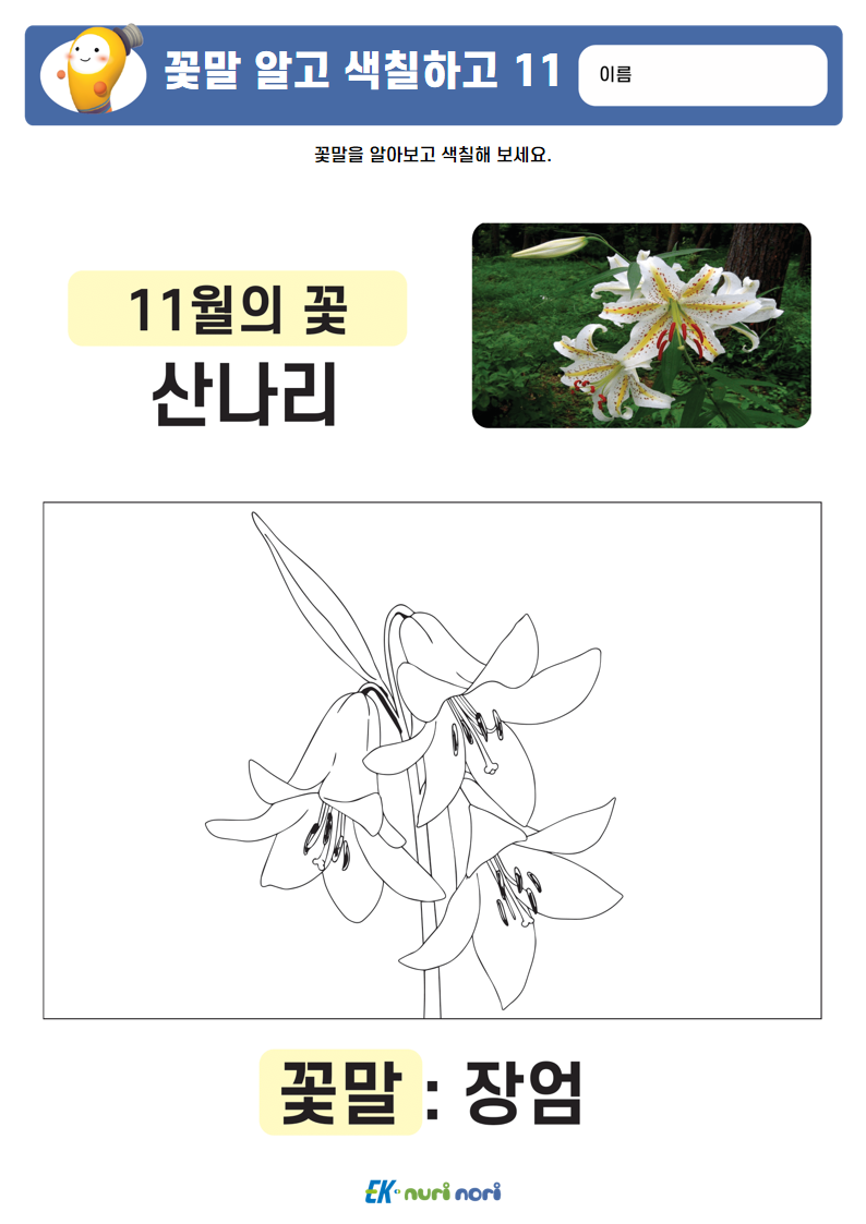 [누리놀이] 꽃말 알고 색칠하고 (22).PNG