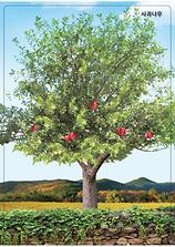 3-10-4 가을 과일을 따요- 가을 과일 나무판(사과나무)