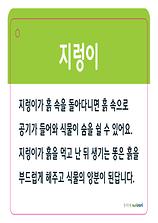 5-11-9 물과 흙을 청소해요- 교사도움자료(지렁이)